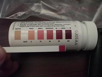 Click image for larger version.&nbsp;

Name:	20fep9i.jpg&nbsp;
Views:	81&nbsp;
Size:	22.6 KB&nbsp;
ID:	10169