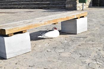 Click image for larger version.&nbsp;

Name:	23916735_1961262053889907_1243058671137079564_o.jpg&nbsp;
Views:	51&nbsp;
Size:	513.7 KB&nbsp;
ID:	10853