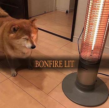 Click image for larger version.&nbsp;

Name:	164A438C-B000-4161-8D28-9881C1B8639F.jpeg&nbsp;
Views:	195&nbsp;
Size:	804.2 KB&nbsp;
ID:	11479