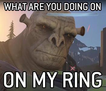 Click image for larger version.&nbsp;

Name:	Shrek-Halo-Infinite.jpg&nbsp;
Views:	199&nbsp;
Size:	62.4 KB&nbsp;
ID:	12348