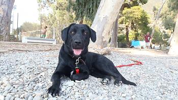 Click image for larger version.&nbsp;

Name:	P8121063.JPG&nbsp;
Views:	86&nbsp;
Size:	485.2 KB&nbsp;
ID:	3062