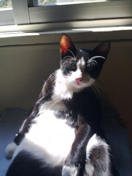 Click image for larger version.&nbsp;

Name:	17.jpg&nbsp;
Views:	49&nbsp;
Size:	573.8 KB&nbsp;
ID:	3067