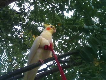 Click image for larger version.&nbsp;

Name:	lili 1.jpg&nbsp;
Views:	151&nbsp;
Size:	78.1 KB&nbsp;
ID:	3273