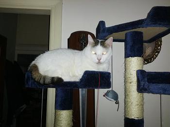 Click image for larger version.&nbsp;

Name:	IMG_20130818_203043.jpg&nbsp;
Views:	119&nbsp;
Size:	402.6 KB&nbsp;
ID:	4167