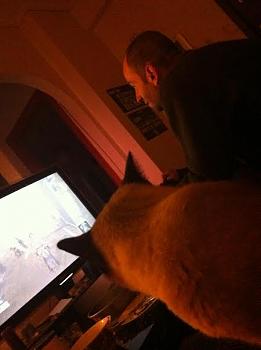 Click image for larger version.&nbsp;

Name:	unnamed.jpg&nbsp;
Views:	237&nbsp;
Size:	16.8 KB&nbsp;
ID:	4313