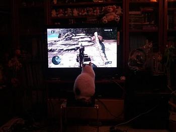 Click image for larger version.&nbsp;

Name:	scarfy_ac4.jpg&nbsp;
Views:	236&nbsp;
Size:	33.8 KB&nbsp;
ID:	4314