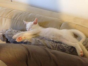 Click image for larger version.&nbsp;

Name:	IMG_1132.jpg&nbsp;
Views:	63&nbsp;
Size:	719.2 KB&nbsp;
ID:	5140