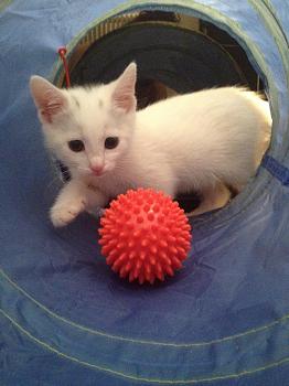 Click image for larger version.&nbsp;

Name:	IMG_1203.jpg&nbsp;
Views:	65&nbsp;
Size:	901.0 KB&nbsp;
ID:	5141