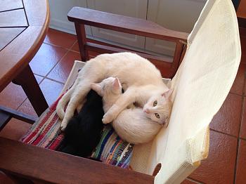 Click image for larger version.&nbsp;

Name:	IMG_1133.jpg&nbsp;
Views:	64&nbsp;
Size:	718.7 KB&nbsp;
ID:	5143