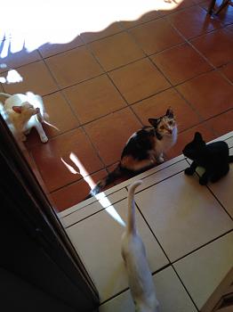 Click image for larger version.&nbsp;

Name:	IMG_1214.jpg&nbsp;
Views:	65&nbsp;
Size:	440.4 KB&nbsp;
ID:	5144