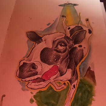 Click image for larger version.&nbsp;

Name:	10621960_823090151042770_2075109170_n.jpg&nbsp;
Views:	150&nbsp;
Size:	138.4 KB&nbsp;
ID:	5766