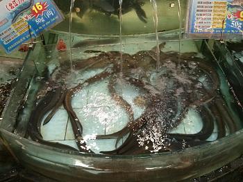 Click image for larger version.&nbsp;

Name:	IMG_20141017_145005.jpg&nbsp;
Views:	76&nbsp;
Size:	903.0 KB&nbsp;
ID:	5832