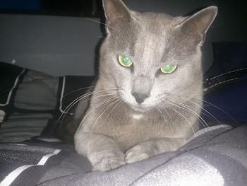 Click image for larger version.&nbsp;

Name:	11182338_10205986208151384_9199273268269229636_n.jpg&nbsp;
Views:	225&nbsp;
Size:	50.6 KB&nbsp;
ID:	7002