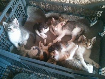 Click image for larger version.&nbsp;

Name:	18708_10206035902633715_7269471302240763634_n.jpg&nbsp;
Views:	209&nbsp;
Size:	119.2 KB&nbsp;
ID:	7029