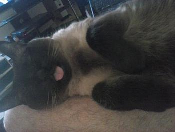 Click image for larger version.&nbsp;

Name:	CAM00274.jpg&nbsp;
Views:	123&nbsp;
Size:	298.3 KB&nbsp;
ID:	7464