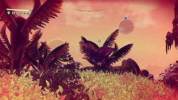Click image for larger version.&nbsp;

Name:	No Man's Sky_20160811081838.jpg&nbsp;
Views:	78&nbsp;
Size:	410.1 KB&nbsp;
ID:	9151