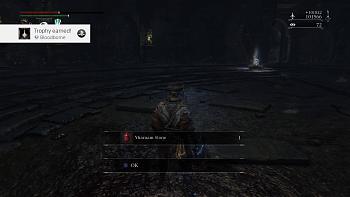 Click image for larger version.&nbsp;

Name:	Bloodborne Platinum Trophy.jpg&nbsp;
Views:	81&nbsp;
Size:	123.8 KB&nbsp;
ID:	9322