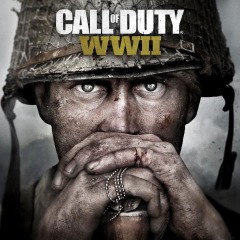 Click image for larger version. 

Name:	COD_WWII.jpg 
Views:	85 
Size:	23.2 KB 
ID:	12107