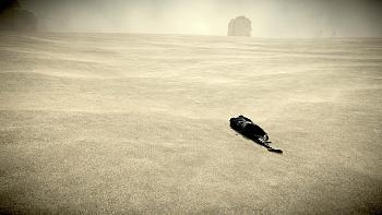 Click image for larger version. 

Name:	SHADOW-OF-THE-COLOSSUS?30.jpg 
Views:	62 
Size:	942.0 KB 
ID:	10607